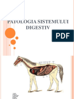 Patologia Sistemului Digestiv
