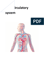8 Circulatory System Lesson.docx