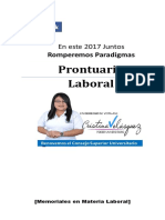 PRONTUARIO LABORAL.pdf