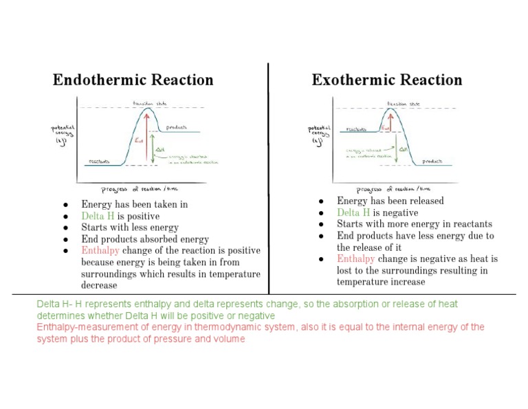 Negative Delta H Means Exothermic