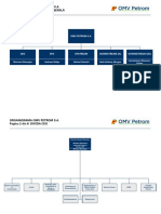 Organigrama OMV Petrom