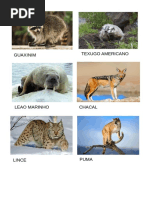 Trabalho de Livia Santana