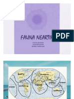 Fauna Neartik PDF