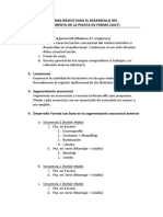 Esquema Básico para El Desarrollo Del Tratamiento Formal