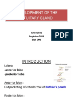 Development of The Pituitary Gland: Tutorial B1 Angkatan 2014 Blok EMS