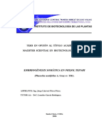 2006. IBP. MSc. BV. Pérez Pérez Jorge L. .pdf