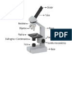 partes del microscopio