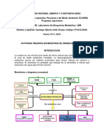 Preinforme Actividad Ureasica