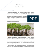 Tugas Botani Potensi Mangrove