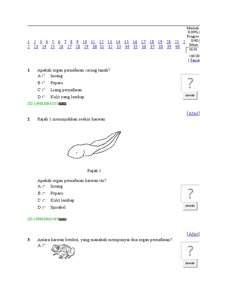 Tahun 4 Haiwan Pdf