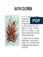 Algas en Colombia