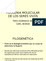 Filogenia Molecular de Los Seres Vivos 2017