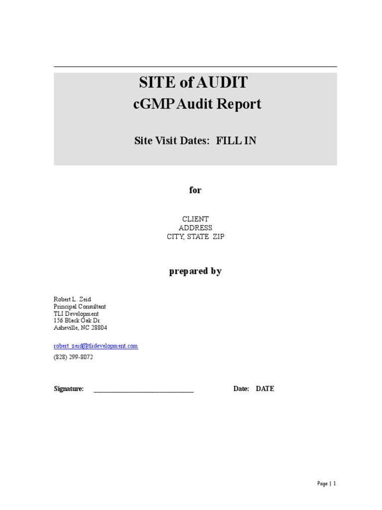 Audit Template Report For GMP Standard | PDF | Quality Assurance ...