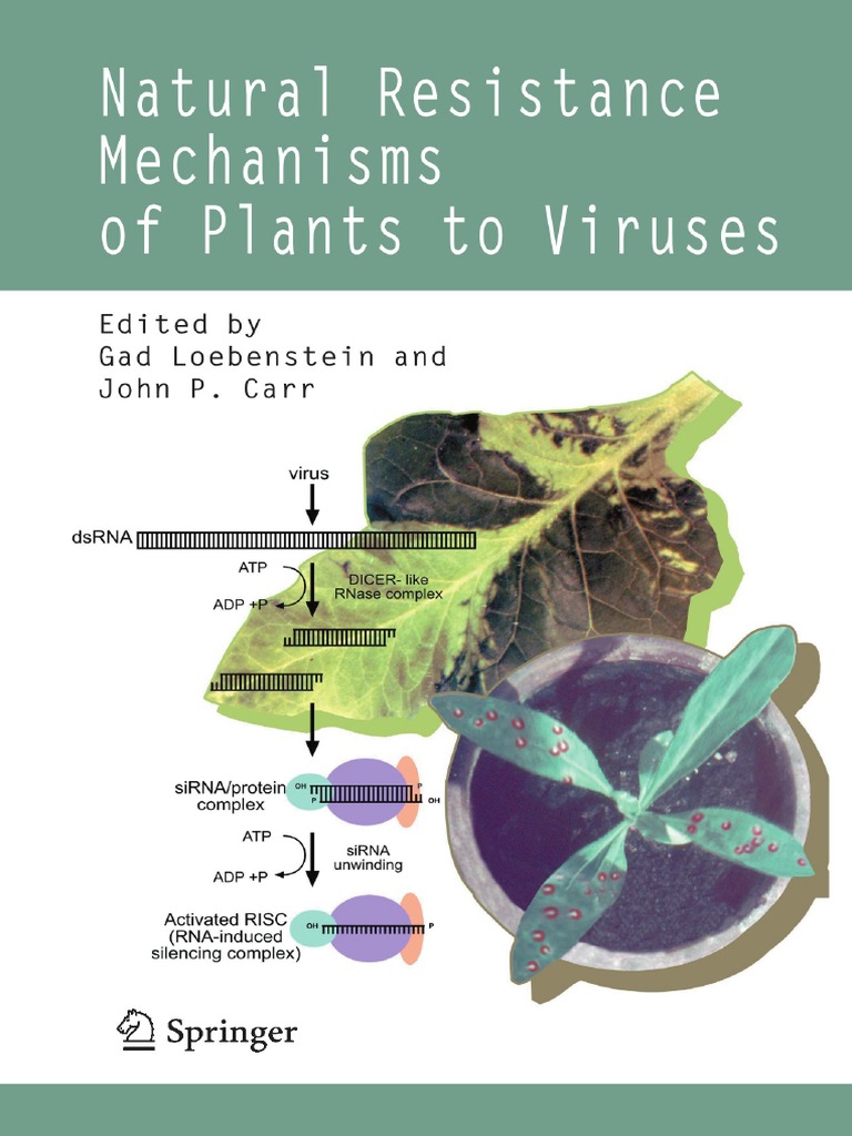 Natural Resistance Mechanisms of Plants To Viruses Virus Gene Silencing