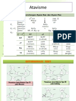 Atavisme anggy saputra biologi.pptx