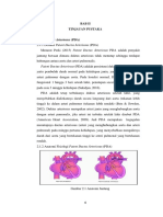 PDA Tinjauan Pustaka