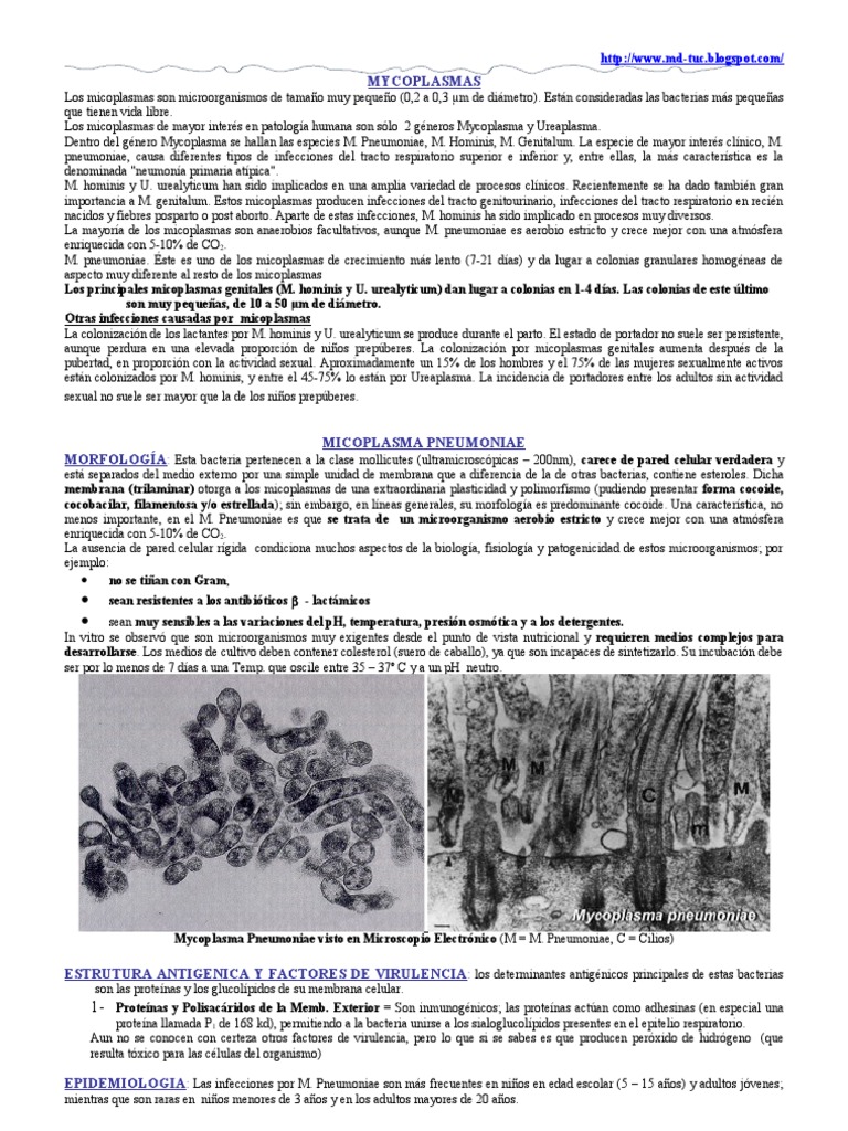 Mycoplasma Pneumoniae, Chlamydia Pneumoniae y Klebsiella Pneumoniae ...