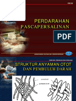 11C Perdarahan Pascapersalinan-SR PDF