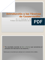 01 Introduccion A Las Técnicas de Conservación