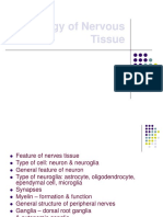 Histology of Nervous Tissue