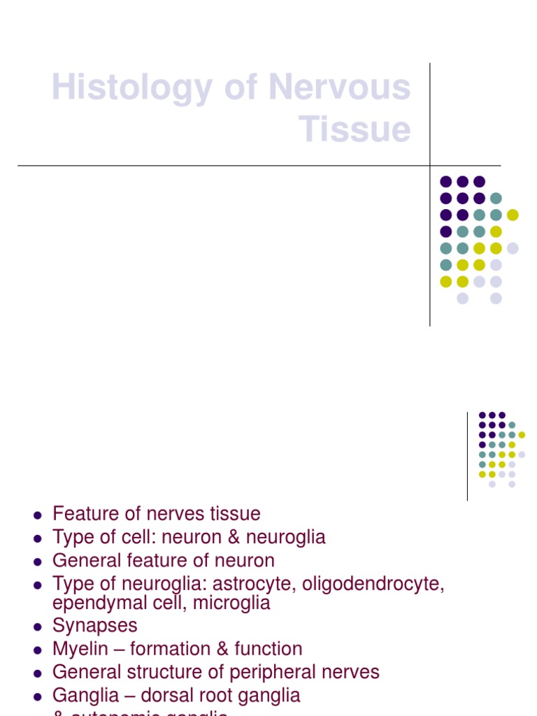 Nervous Tissue Histology Overview | PDF | Neuron | Central Nervous System