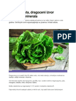 Zelena Salata