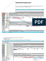 Instructivo Elaboracion de Pedidos S10 PDF