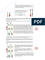 Signo de G Gravedad FIsdica Basica