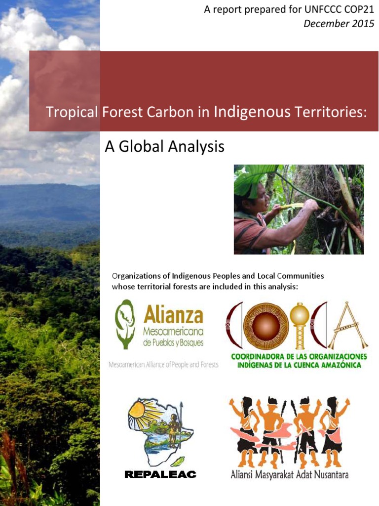 Indigenous Territories' Role in Forest Carbon | PDF | Climate Change ...