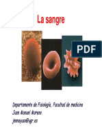 La Sangre 09-10 PDF