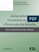 Jurisprudência Consolidada Do TST e Enunciados Das Jornadas - Marcos Scalércio e Tulio Martinez Minto - 2017