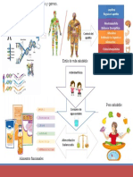 Infografía. Relación Ambiente, Dieta y Genes.