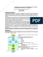 Evaluación Del Funcionamiento de Una Planta de Tratamiento de Efluentes