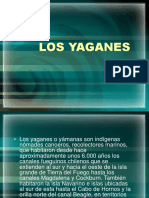4818381 Disertacion Los Yaganes