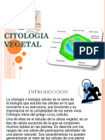 Citologiavegetaladsfsdf 140705215405 Phpapp01