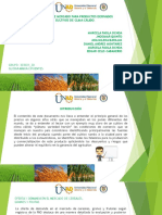 Cartilla Cultivo de Clima Medio