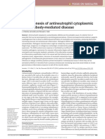 Pathogenesis of Antineutrophil Cytoplasmic Autoantibody-Mediated Disease