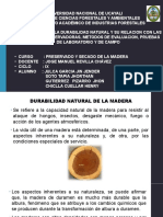 Unidad 3 - Clase 3 - Fundamentos de Durabilidad de La Madera