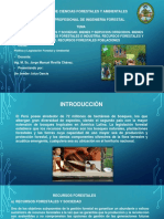 Tema 4 - Recursos Forestales y Sociedad - Bienes y Servicios Ofrecidos - y - Producidos