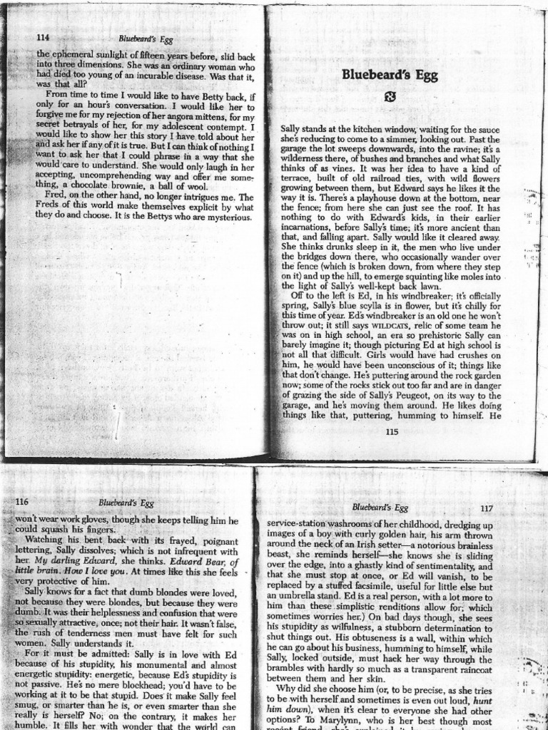 Atwoods short story bluebeards egg essay 05 picture