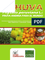 140620837217physalis Peruviana l. Fruta Andina Para El Mundo