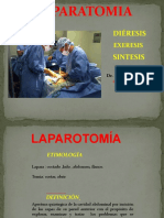 Laparotomia Dieresis, Exceresis y Sintesis