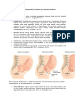 Mekanisme Persalinan Normal