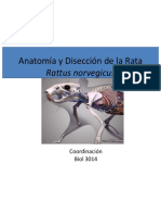 Anatomia de La Rata Externa e Interna Tacher