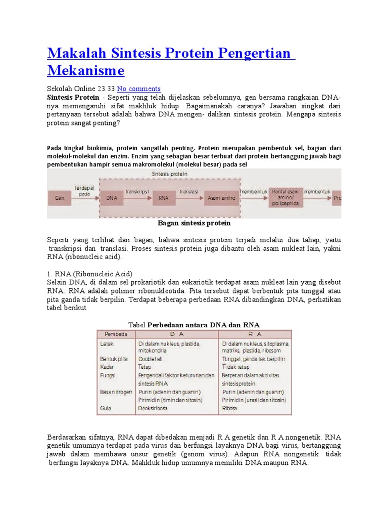Proses Sintesis Protein dalam Biologi | PDF | Komputer | Teknologi ...