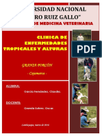 Clinicas de Altura