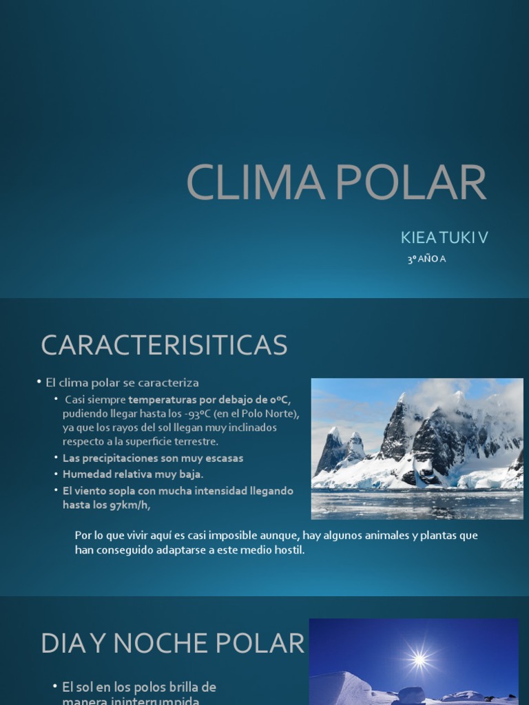 Clima polar: qué es, características, flora y fauna