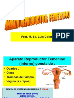 3.- Reproductor Femenino