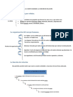 Tema 1 - El Cuerpo Humano. La Función de Relación