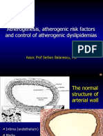 Atherosclerosis Risk Factors and Control of Dyslipidemias